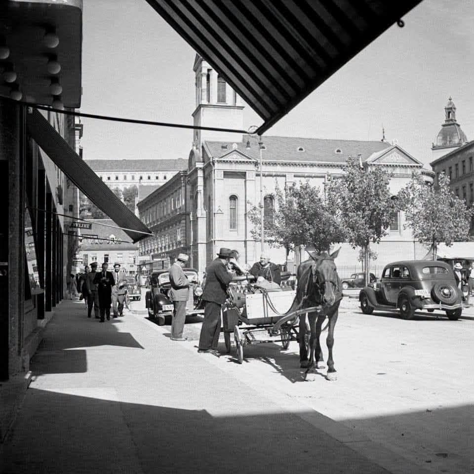 Trg Petra Preradovića 1930. godine (Foto Tošo Dabac)